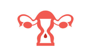 更年期の仕組み