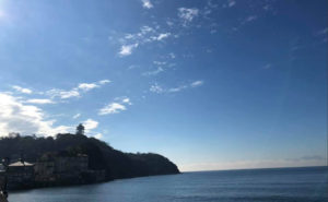 ウェルネスカフェ江ノ島3